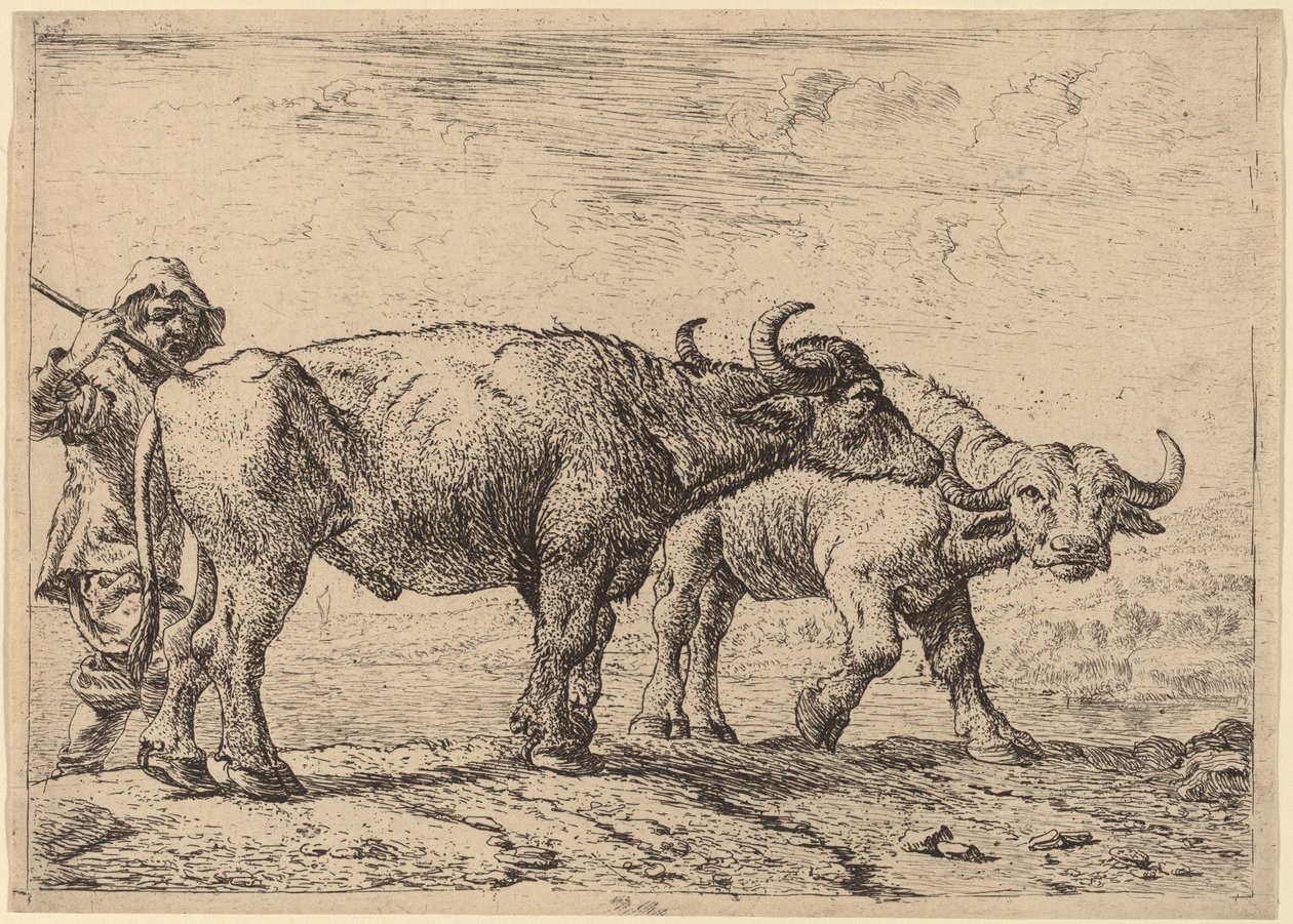 Due Bufali e un Mandriano da Pieter van Laer