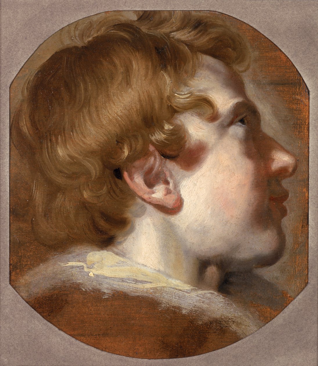 Testa di un ragazzo giovane, c.1620 da Pieter van Mol