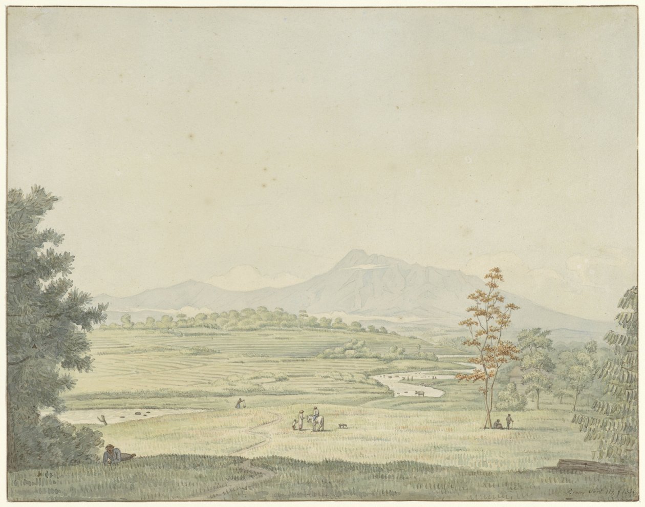 Paesaggio a Giava da Pieter van Oort Hzn