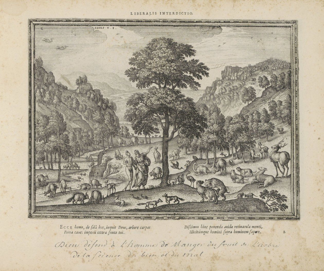 Dio mostra ad Adamo il paradiso da Pieter van der Borcht (I)