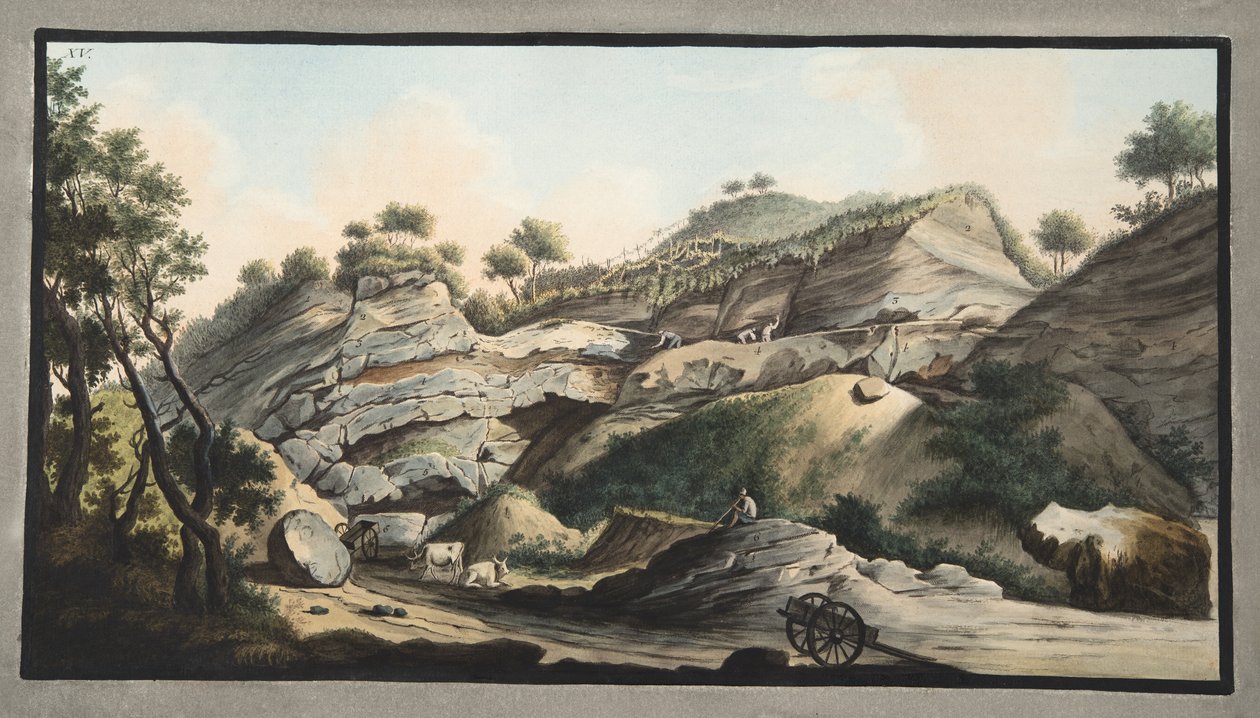 Parte del cono del Monte Somma, tavola 15 da 