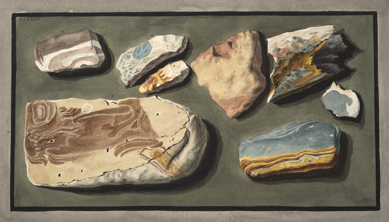 Campioni di una curiosa materia vulcanica presa da una strada cava che porta da Pisciarelli alla Solfatara, Tavola XXXXIII, da 