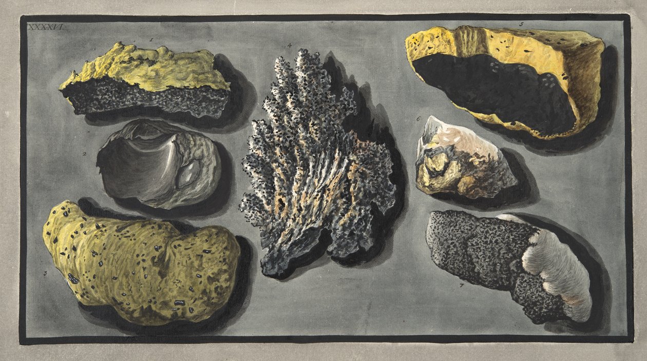 Campioni di materia vulcanica trovati nel cratere del Vesuvio, Tavola XXXXVI, da 