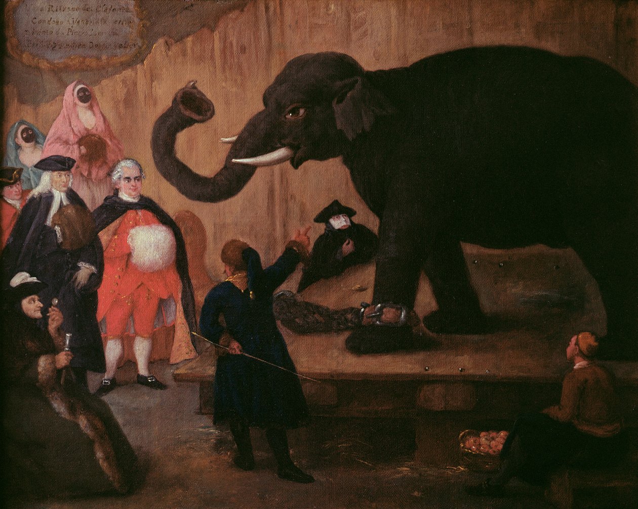 Un elefante mostrato a Venezia da Pietro Longhi