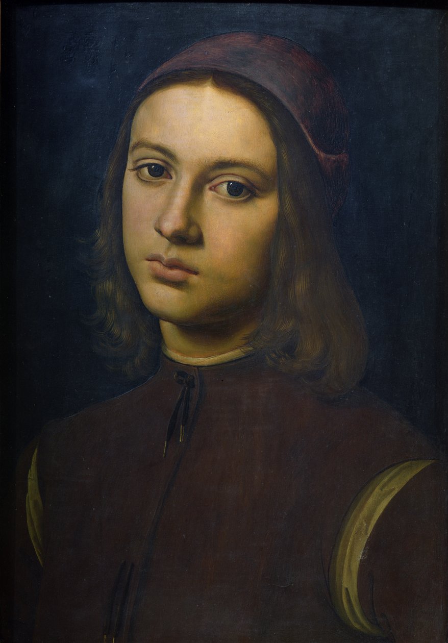 Ritratto di un giovane uomo, 1495 da Pietro Perugino