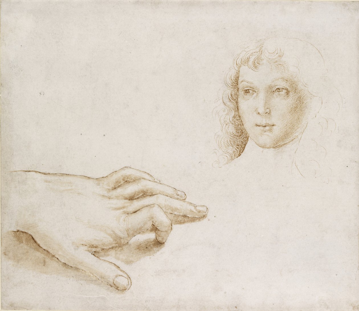 Studi di una testa e una mano, WA1846.8 da Pietro Perugino