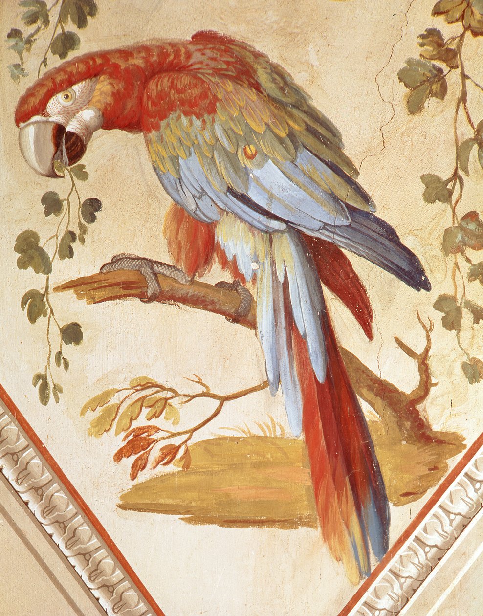 Un pappagallo (murale) da Pietro Rotati