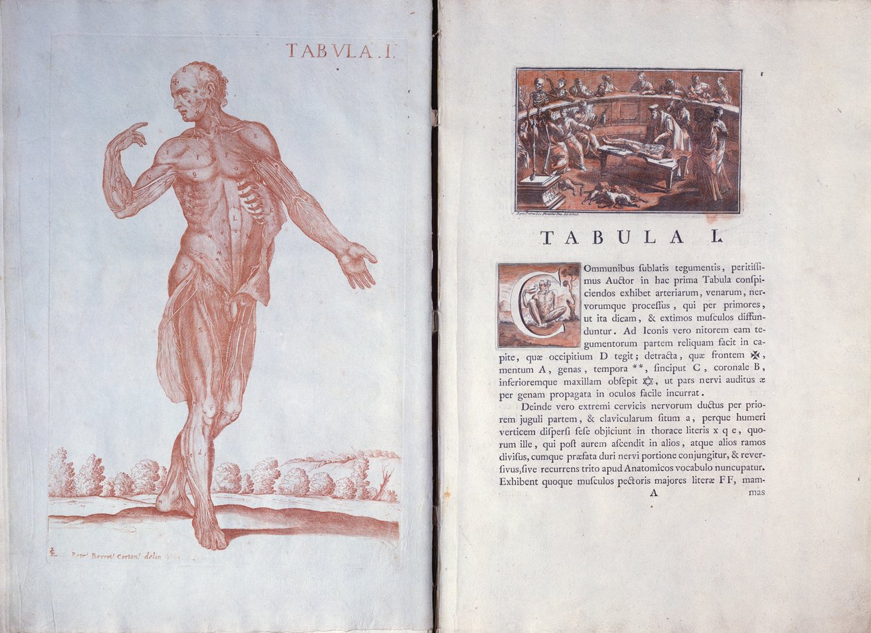 Tavola 1 da 