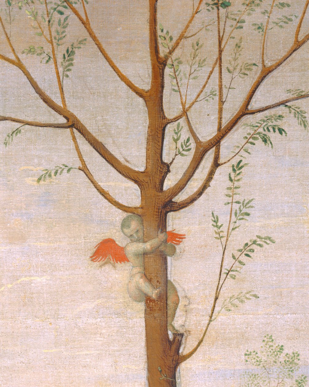 La battaglia tra amore e castità ... da Pietro (studio of) Perugino