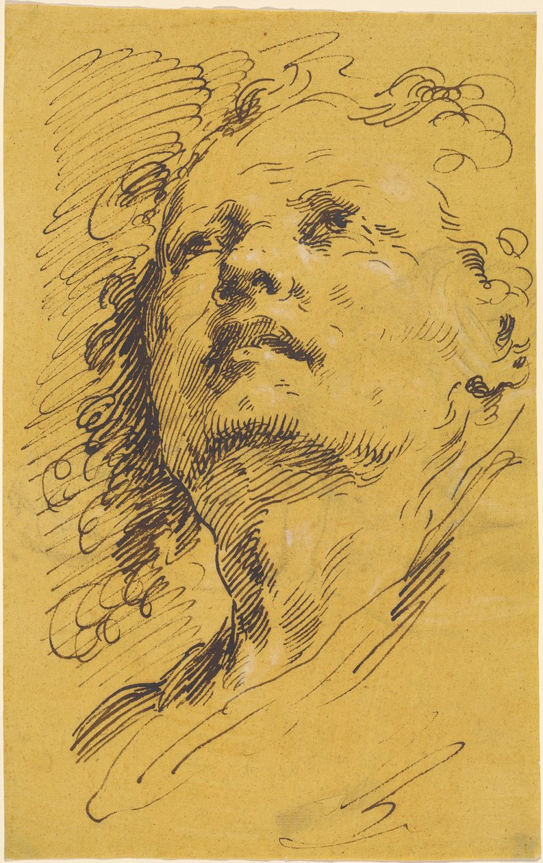 Testa di un uomo che guarda in alto da Pietro Antonio Novelli