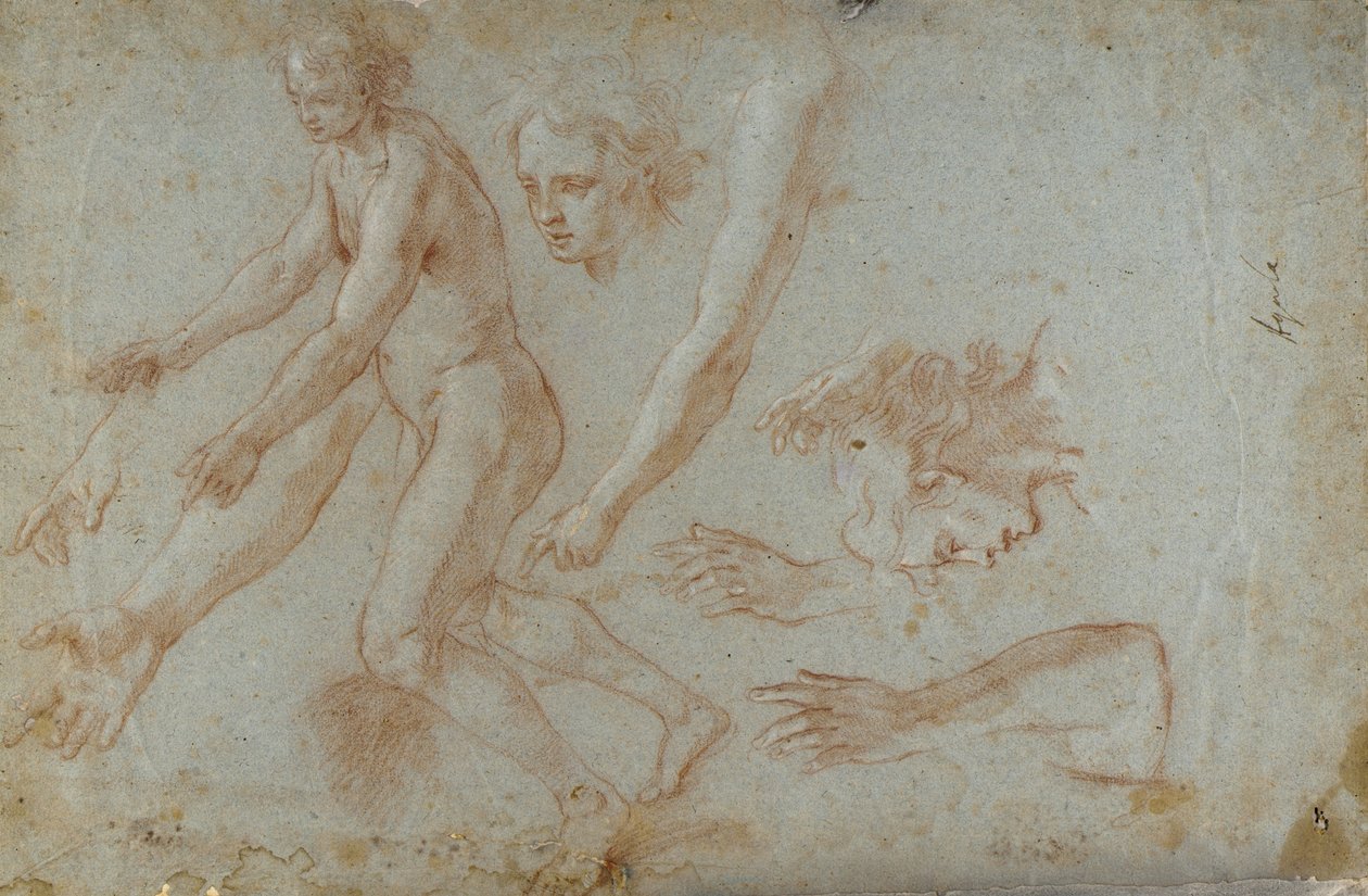 Disegno da Pietro Aquila