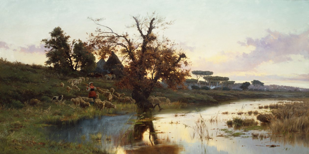 Gregge al tramonto da Pietro Barucci