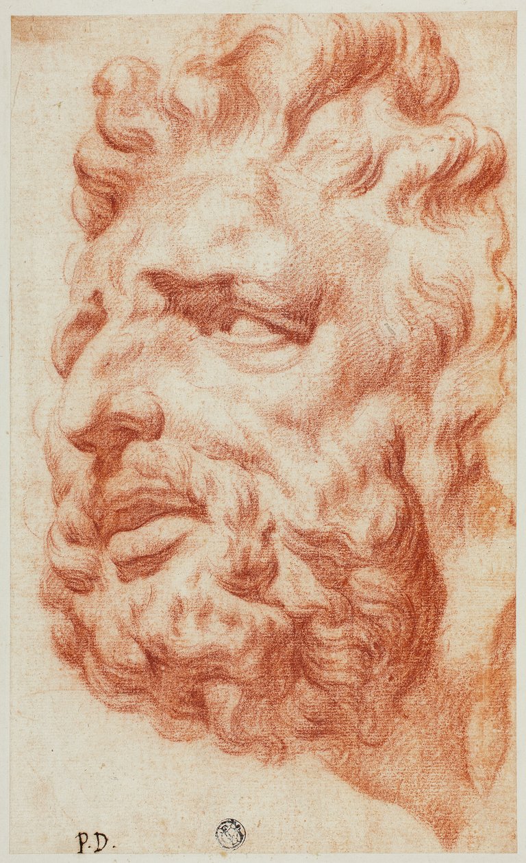 Capo di Laocoonte da Pietro Dandini