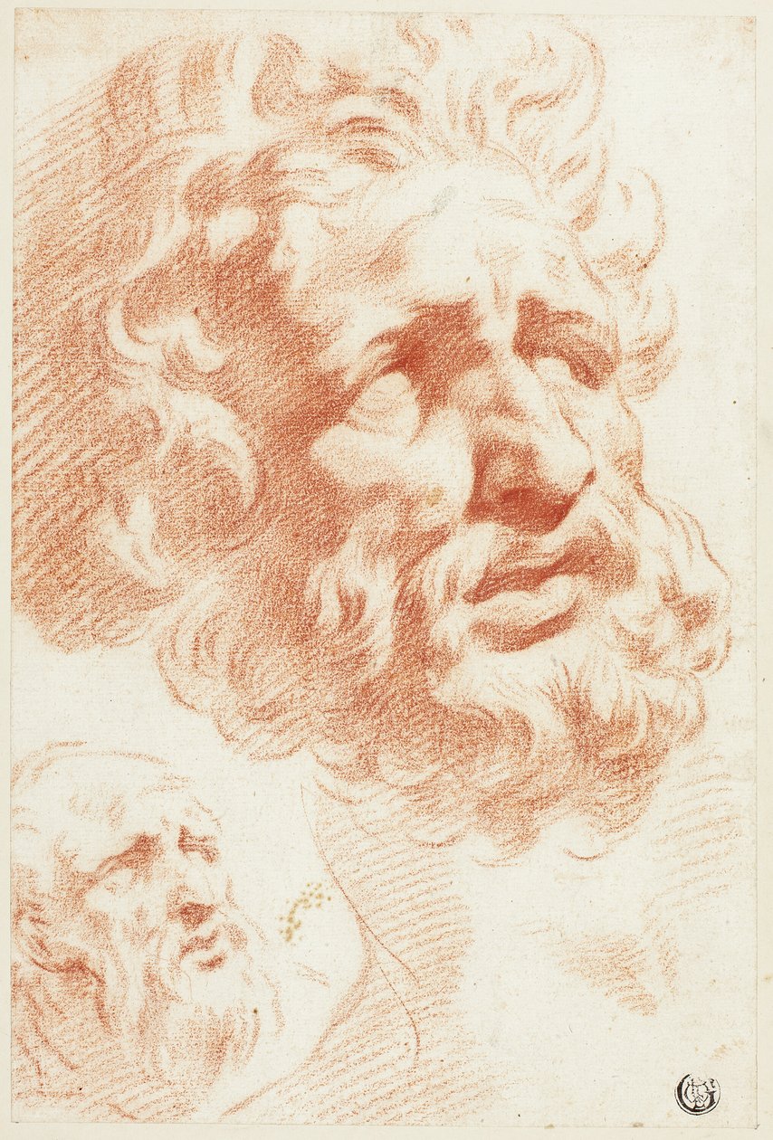 Due teste barbute da Pietro Dandini