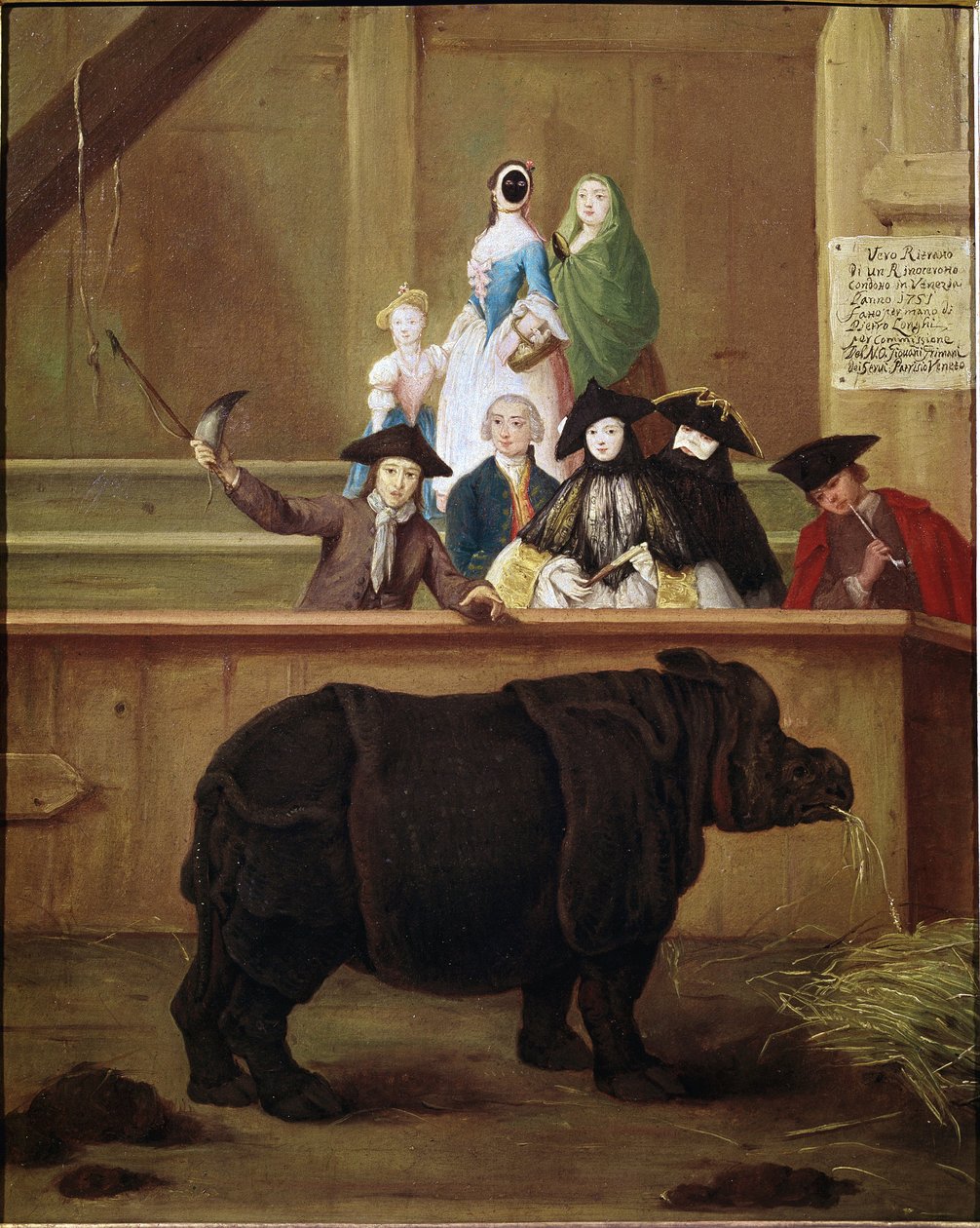 Rinoceronte: esposizione di Clara, rinoceronte indiano da Pietro Longhi