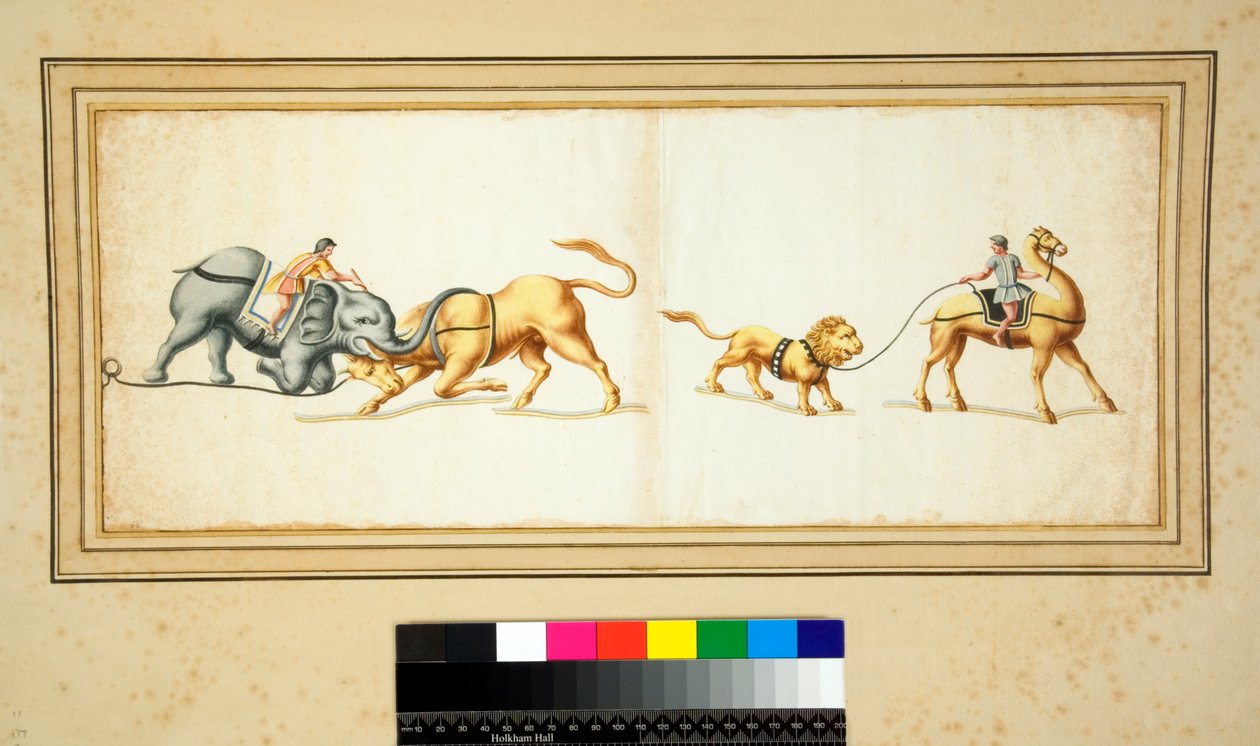 Copia di un mosaico di un elefante che combatte contro un toro da Pietro Santi Bartoli