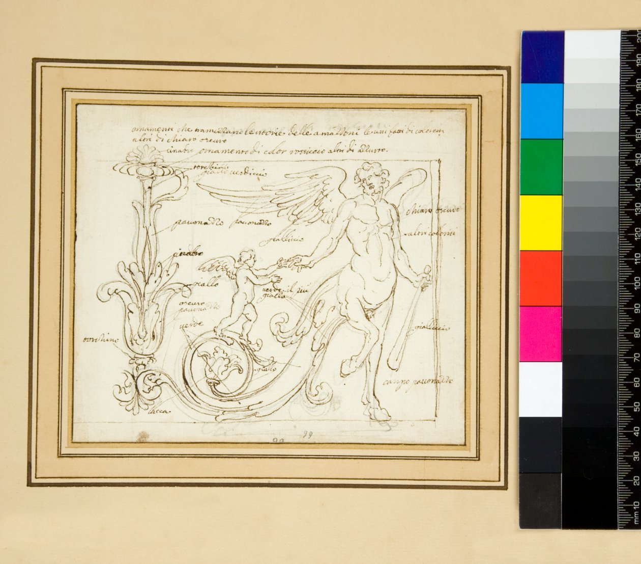 Ornamenti che tramezzano le vittorie delle amazzoni, alcuni fatti di coloretti altri di chiaro scuro da Pietro Santi Bartoli