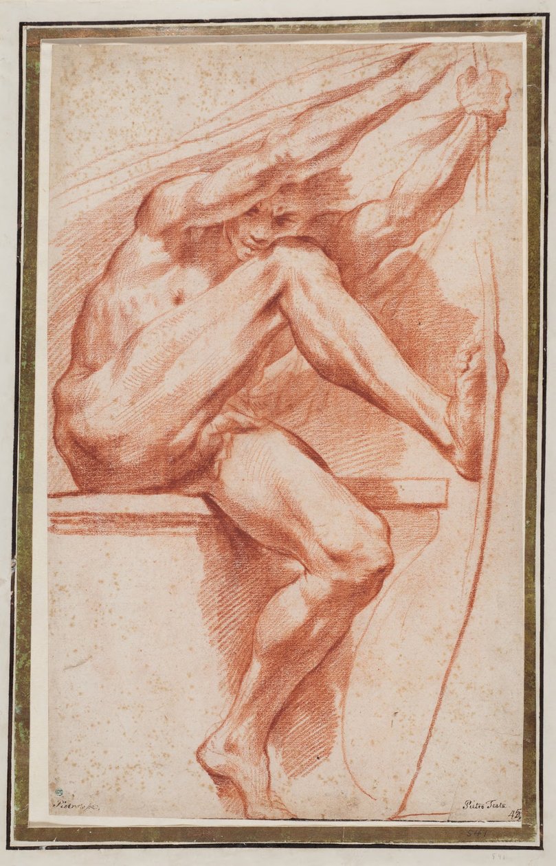Studie für die Figur des Apollo in "Sommer" da Pietro Testa