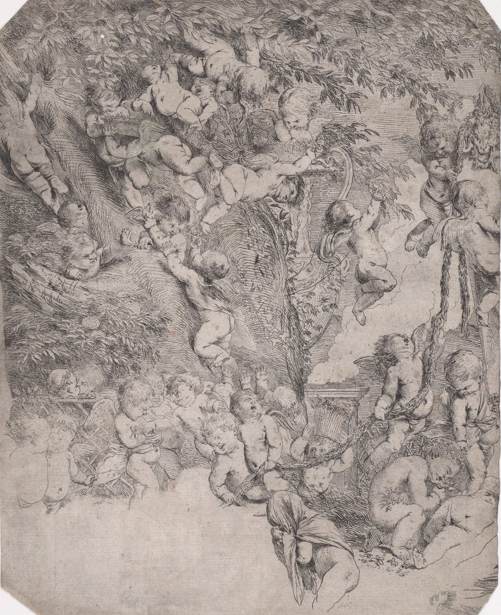 Il giardino di Venere, impressione di prova dell