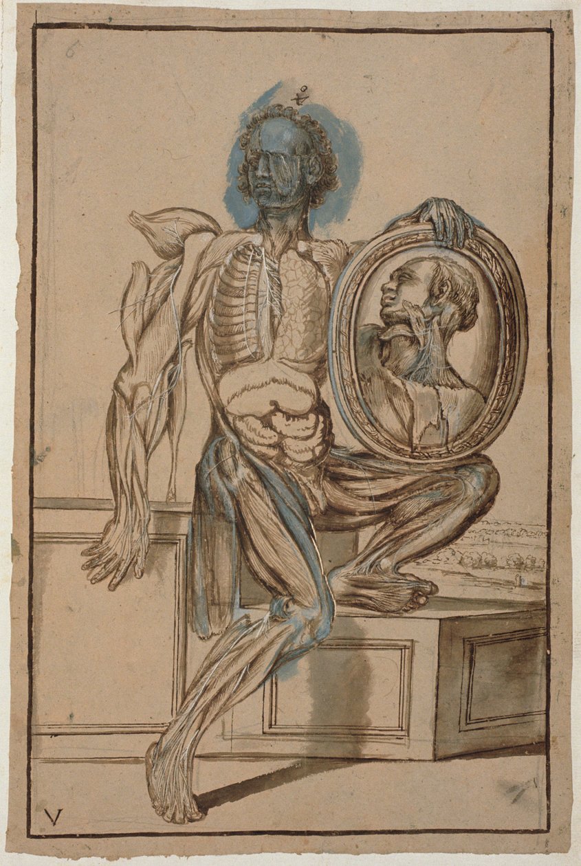 Ms Hunter 653 Tavola V Disegno anatomico, c.1610 da Pietro da Cortona