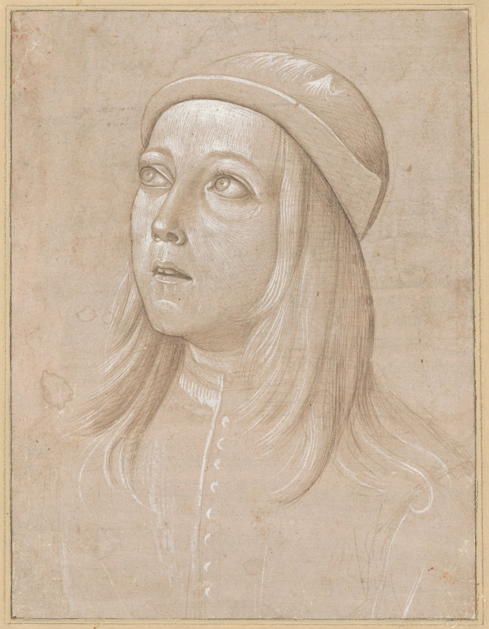 Testa di un giovane che guarda in alto da Pinturicchio