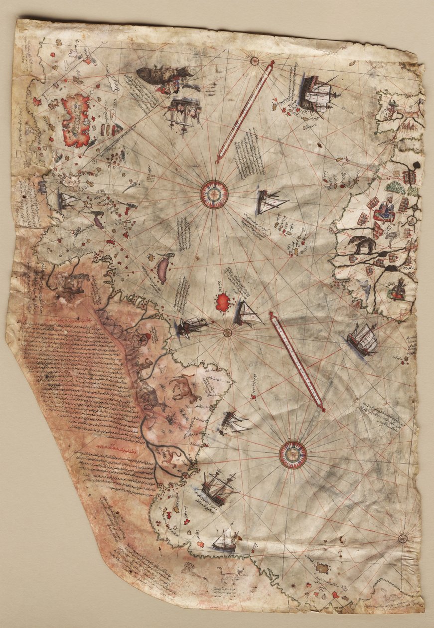 La mappa del mondo di Piri Reis, 1513 da Piri Reis