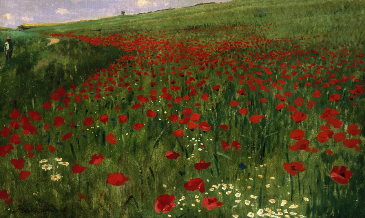 Il campo di papaveri, 1896 da Pál Szinyei Merse