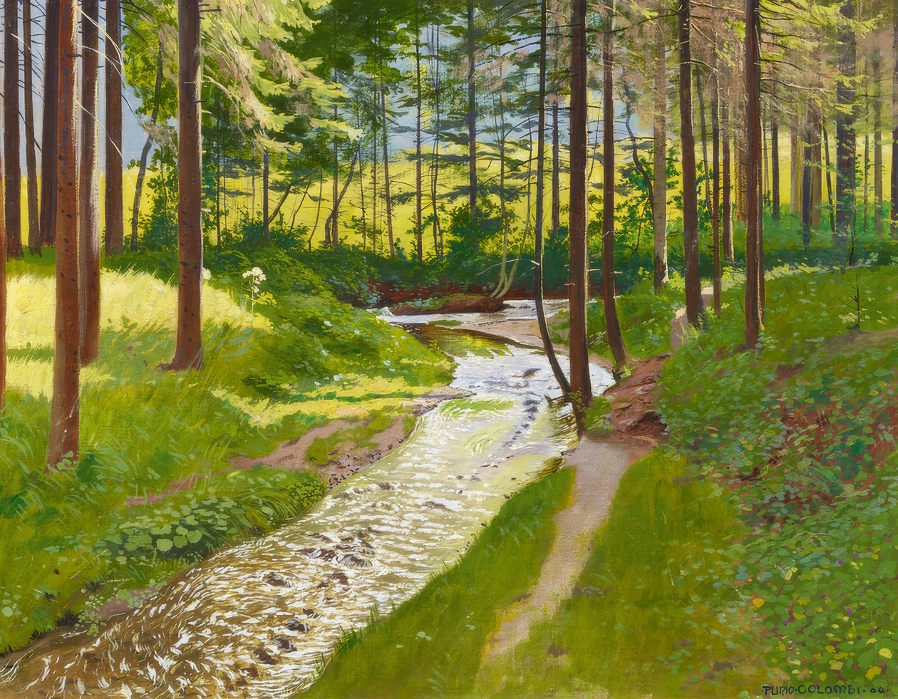 Bosco estivo con ruscello da Plinio Colombi