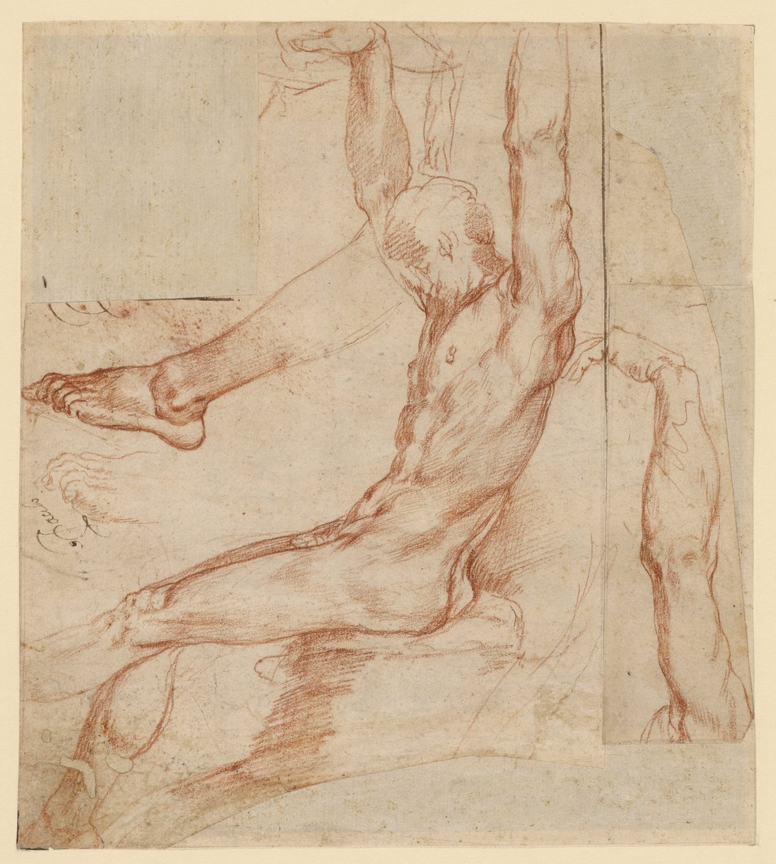 Studio di un uomo con vari schizzi (recto); Studio di una gamba drappeggiata di un uomo (verso) da Polidoro da Caravaggio (Polidoro Caldara)