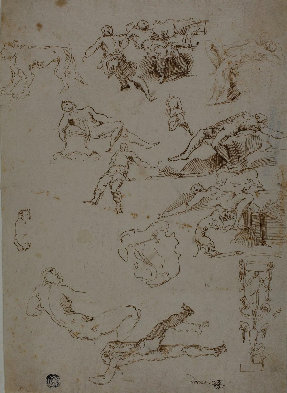 Schizzi di nudi maschili, animali e dettagli ornamentali da Polidoro da Caravaggio