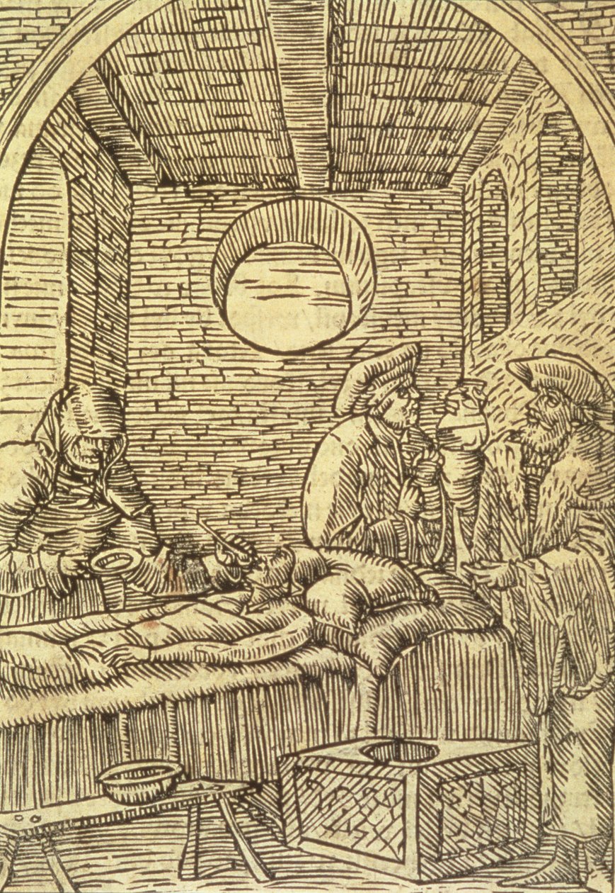Somministrazione di erbe medicinali, 1534 da Polish School
