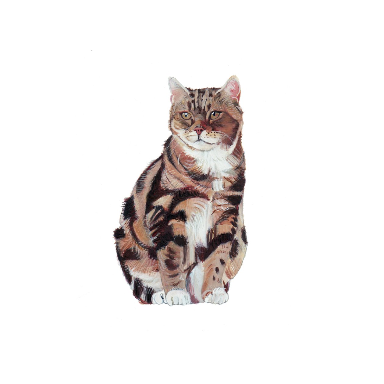 Manx, 2014 (acquerello e gouache su carta) da Polly Horner