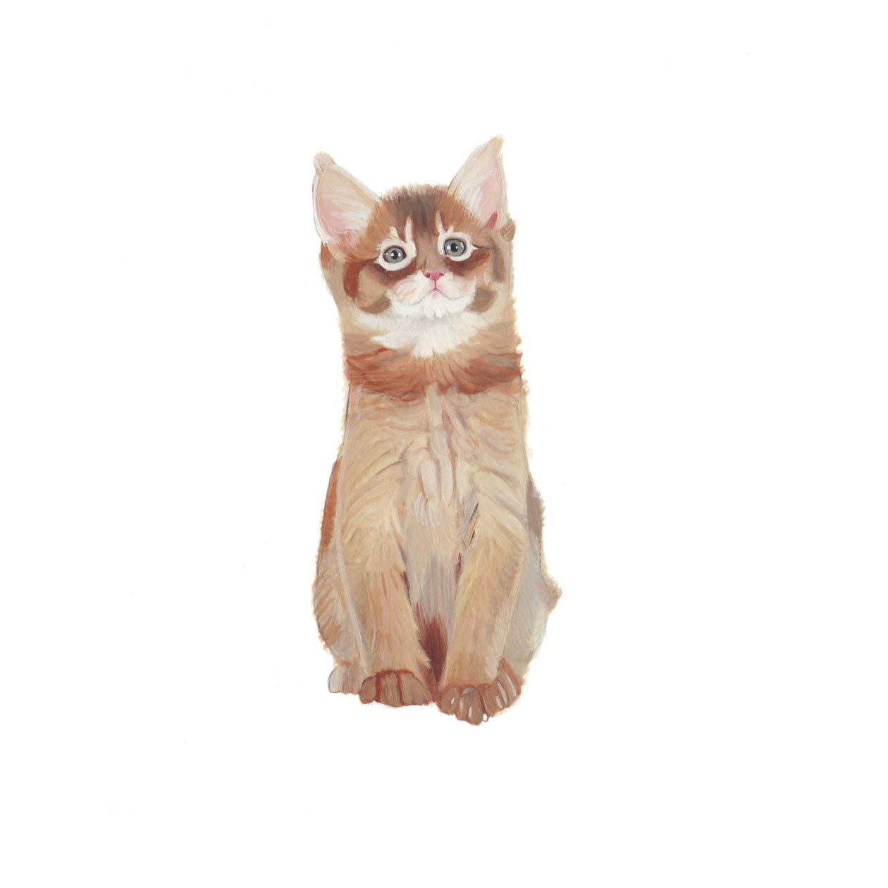 Gattino somalo, 2014 (acquerello e gouache su carta) da Polly Horner