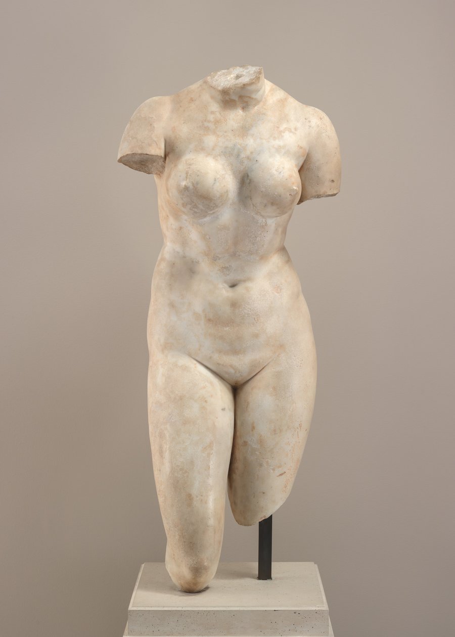 Torso di Afrodite da Possibly Hellenistic or Roman