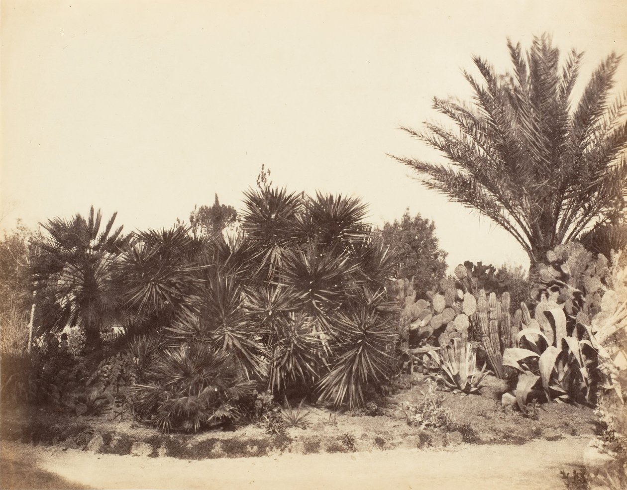 Giardino del Pincio, Roma, 1853-56 da Possibly by Jane Martha St. John.