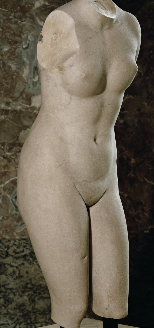 Afrodite di Cnido, replica antica di un originale di Prassitele ... da Praxiteles (after)