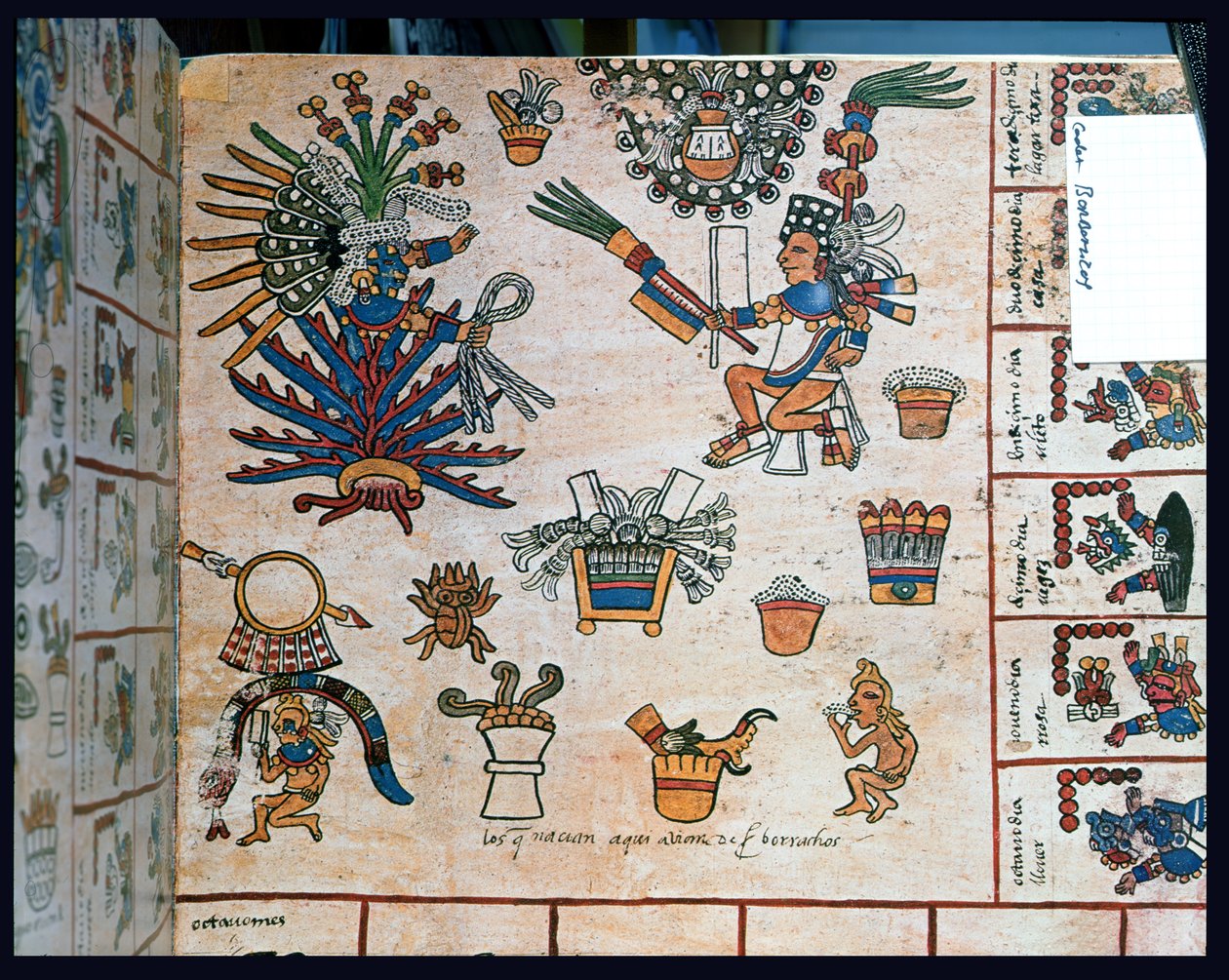 Codice Azteco Borbonico, 