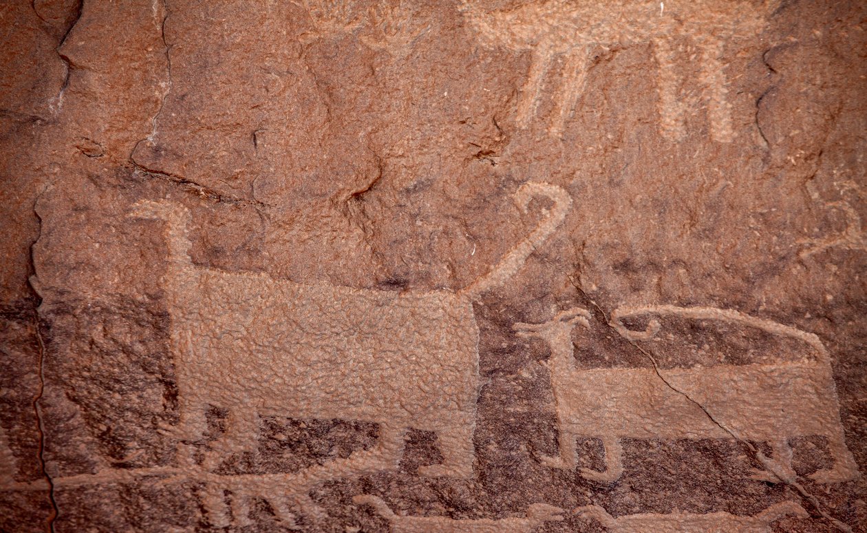 Petroglifi, Parco Storico Nazionale della Cultura Chaco, 2014 (foto) da Precolombian Precolombian