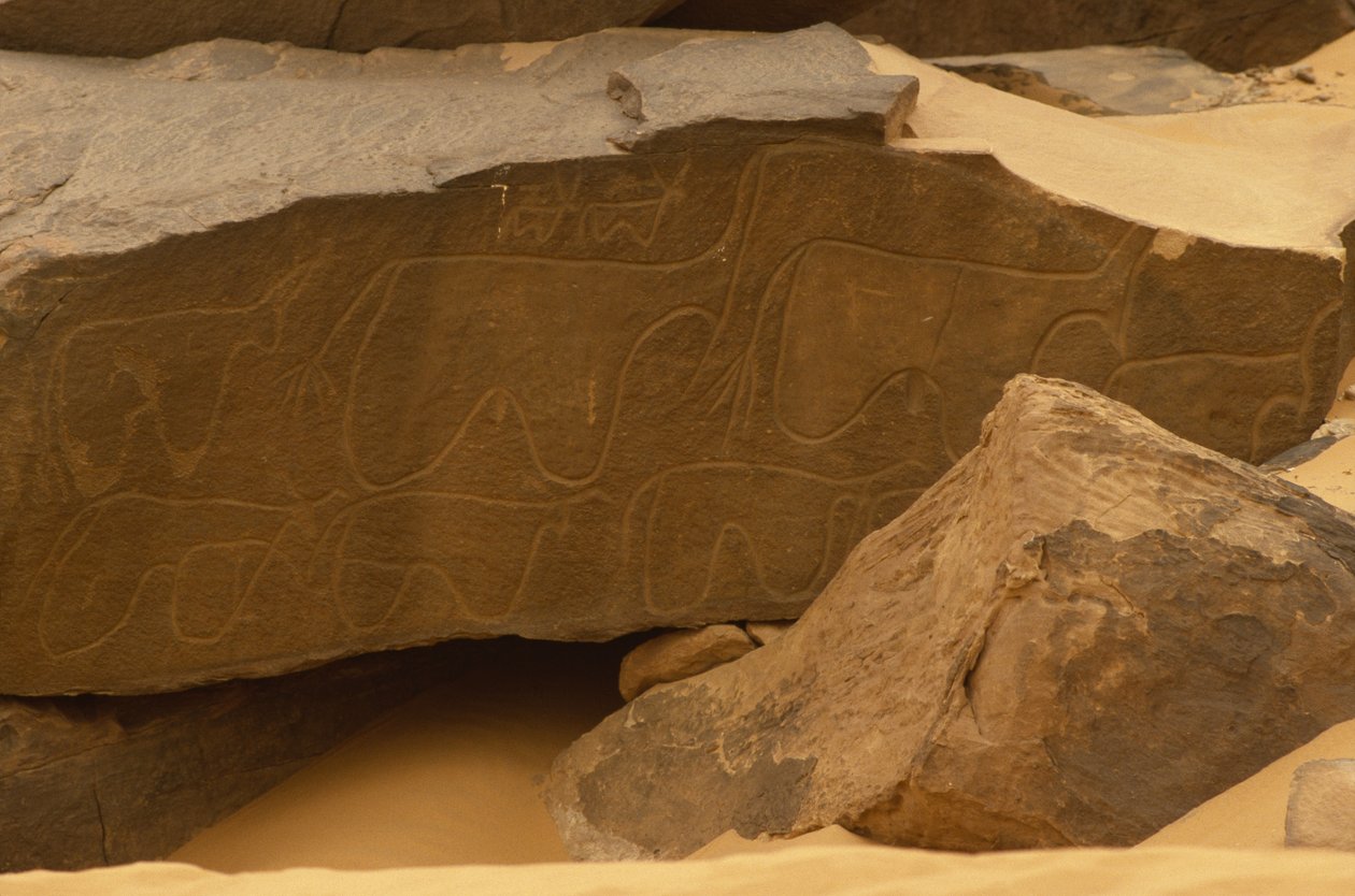 Animali (incisione rupestre) da Prehistoric