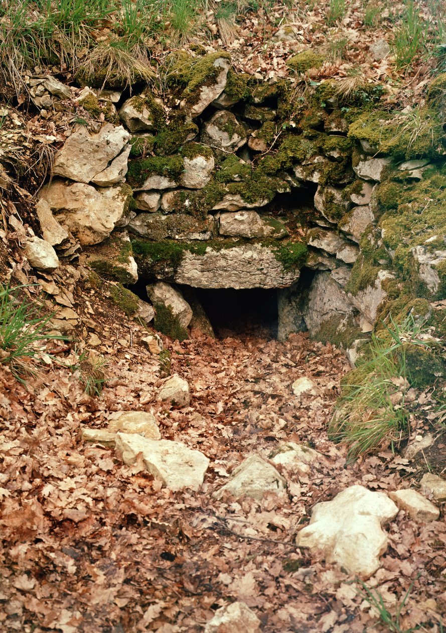 Ingresso coperto a un tumulo da Prehistoric