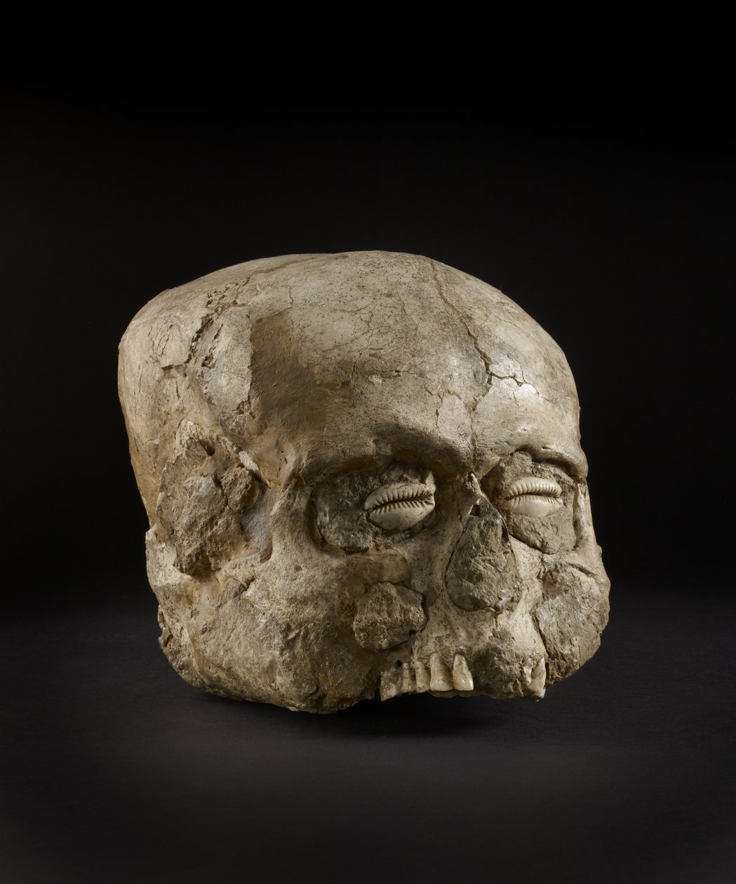 Ritratto di teschio con occhi di conchiglia di ciprea, Gerico, c.7° millennio a.C. da Prehistoric