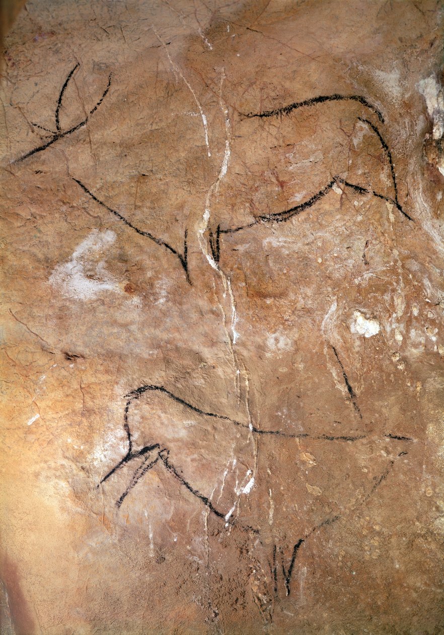 Due cervi, dalle grotte di Altamira, c.15000 a.C. da Prehistoric