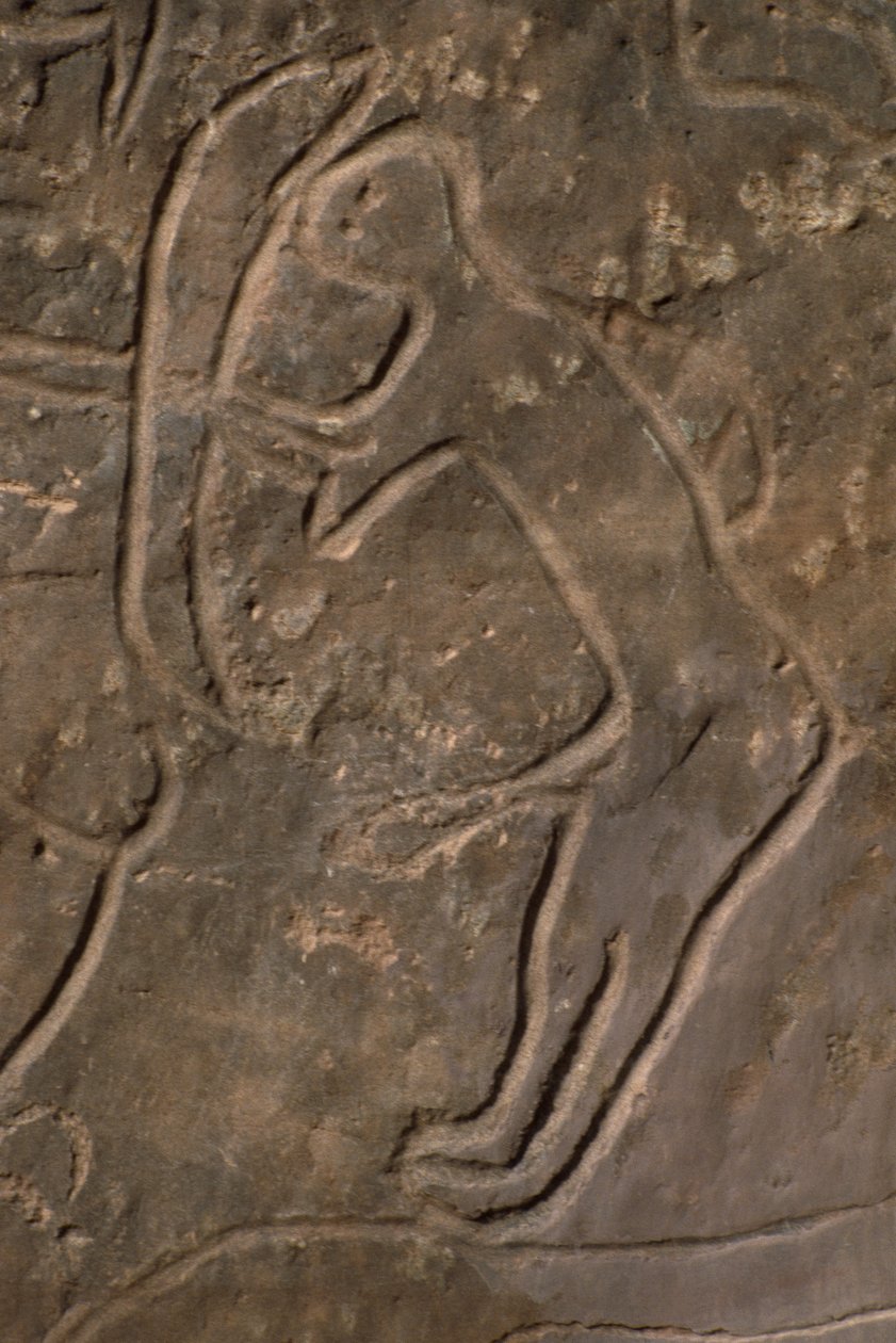 Figura umana e testa di toro (incisione rupestre) da Prehistoric