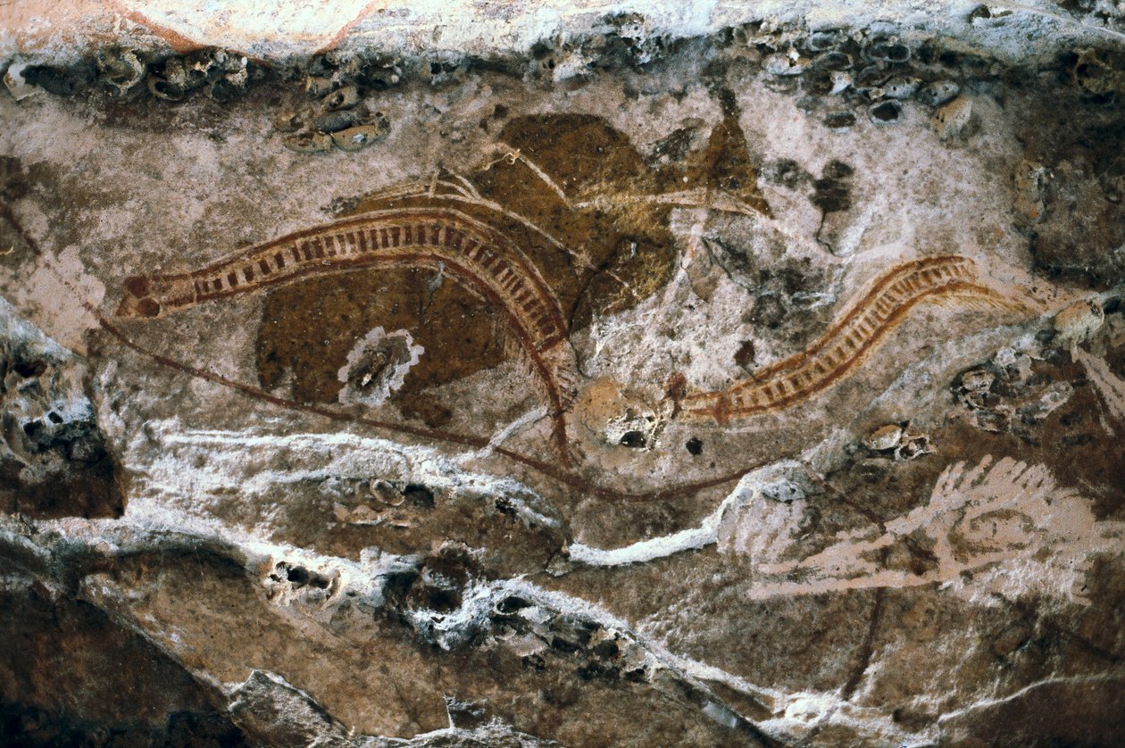 Pittura rupestre aborigena, sito delle grotte di Ubirr, Parco Nazionale di Kakadu, Australia da Prehistoric Prehistoric