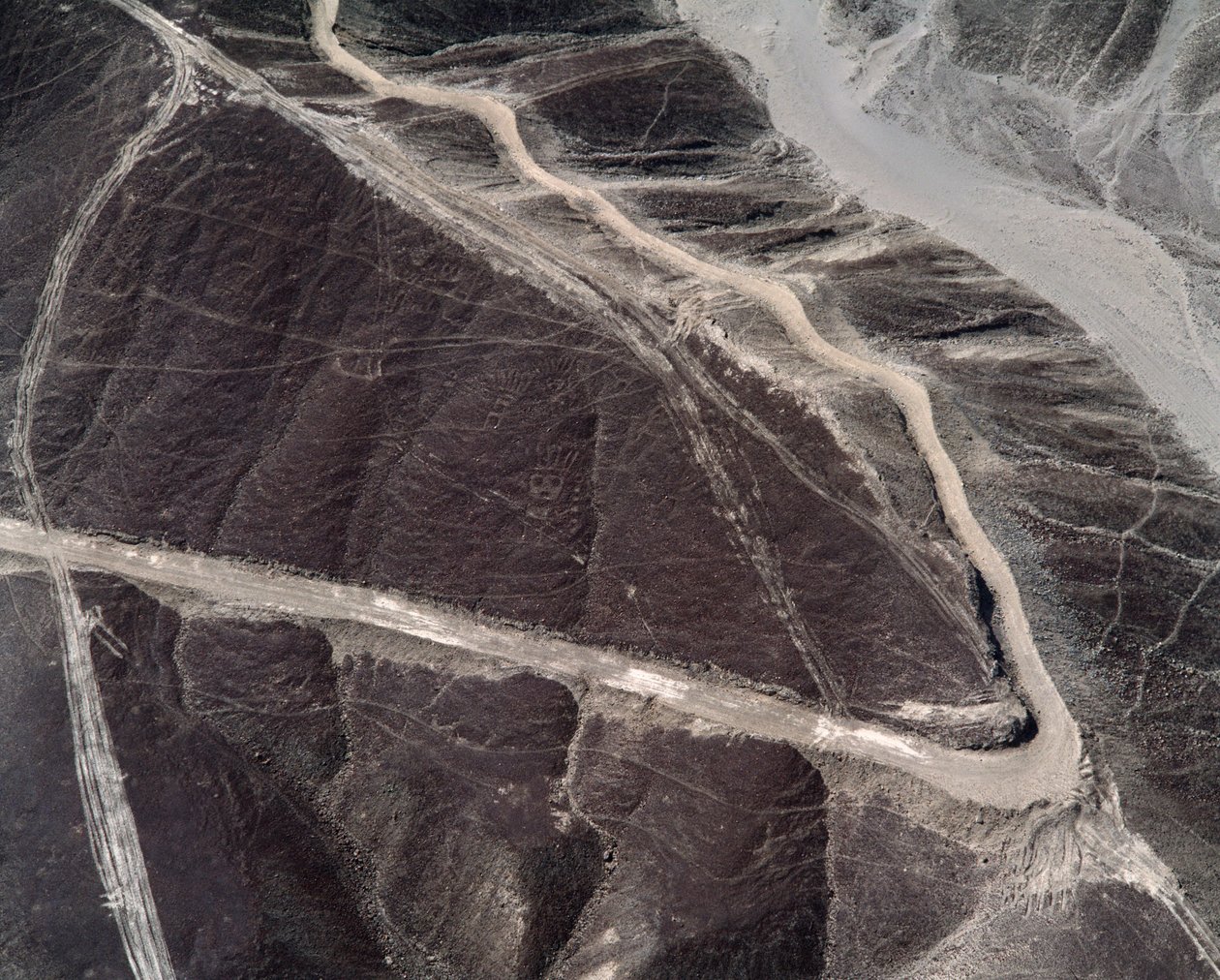 Vista aerea delle Linee di Nazca da Prehistoric Prehistoric