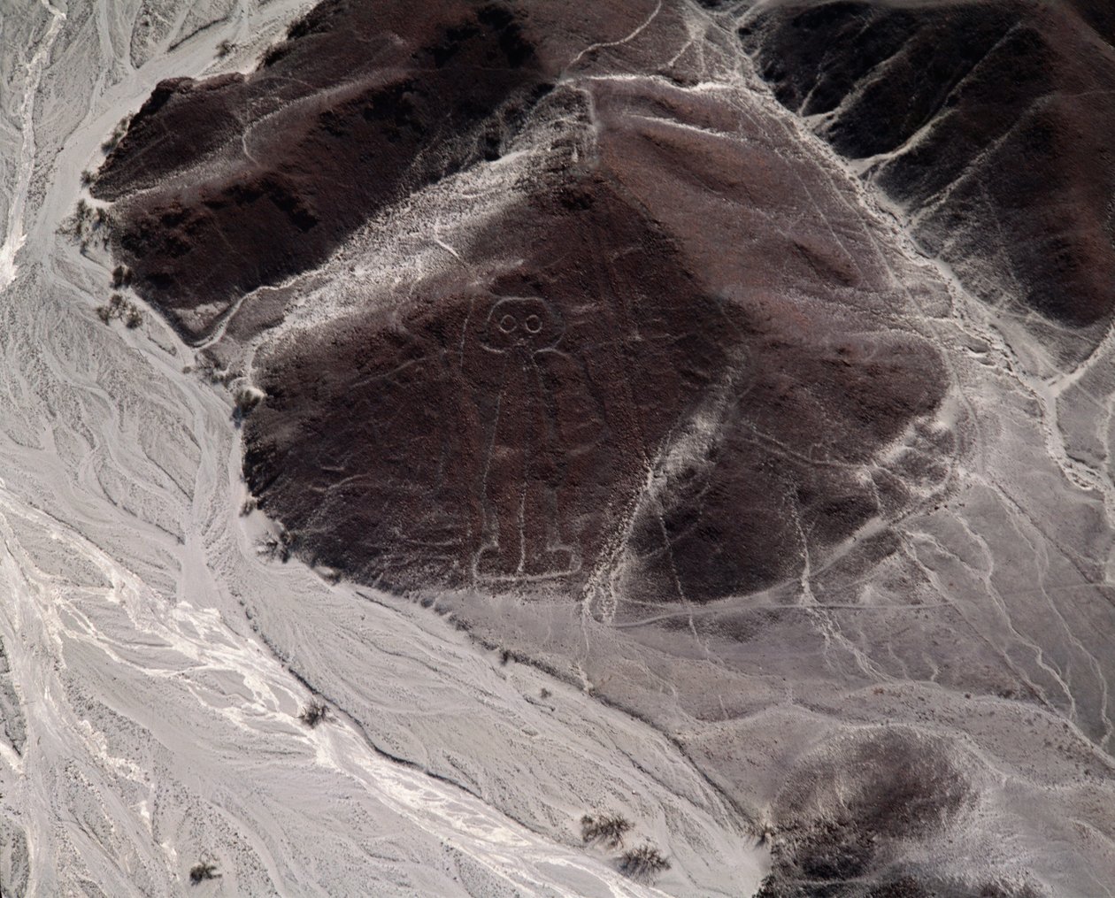 Vista aerea delle Linee di Nazca che rappresentano una figura umana da Prehistoric Prehistoric