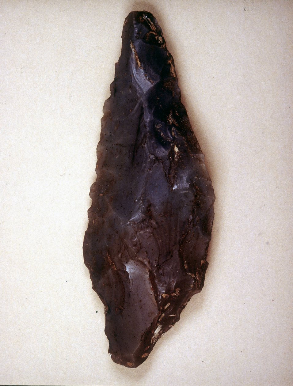 Punte di freccia in selce. Varese. Museo archeologico di Milano da Prehistoric Prehistoric