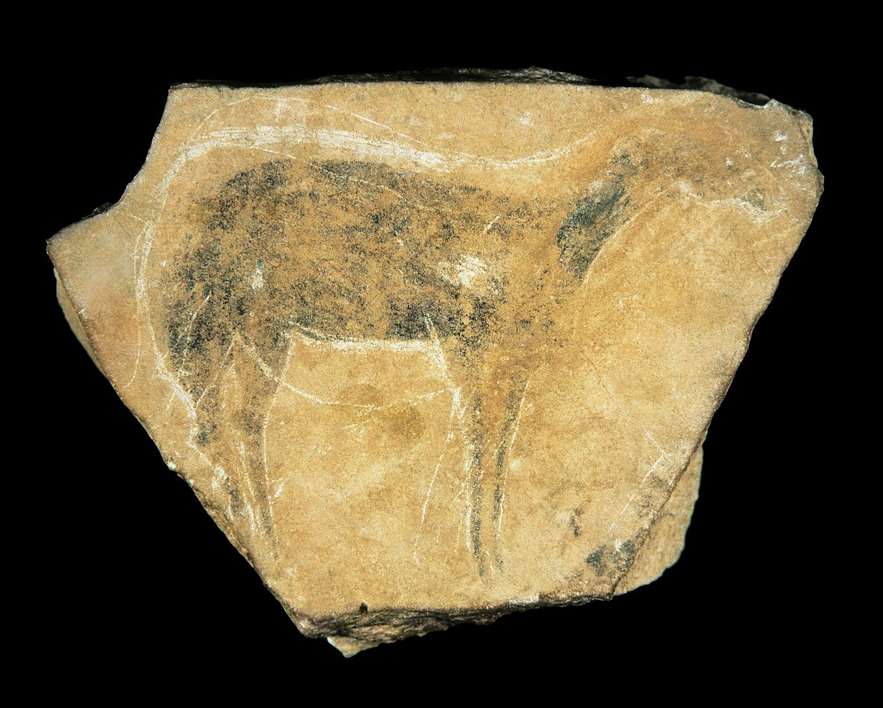 Cerva nera, Grotta di Parpallo, Spagna, Paleolitico superiore da Prehistoric Prehistoric