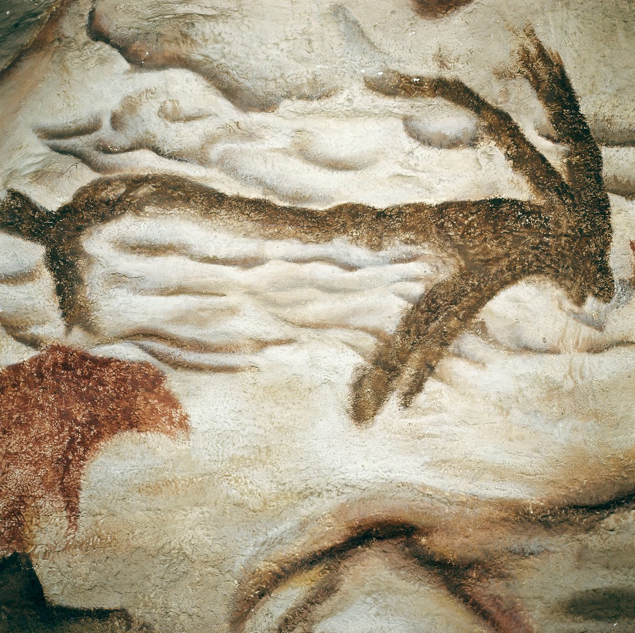 Pittura rupestre di cervidi, Grotta di Lascaux, Dordogna, Francia, Paleolitico superiore (Magdaleniano) c. 13000 anni fa da Prehistoric Prehistoric