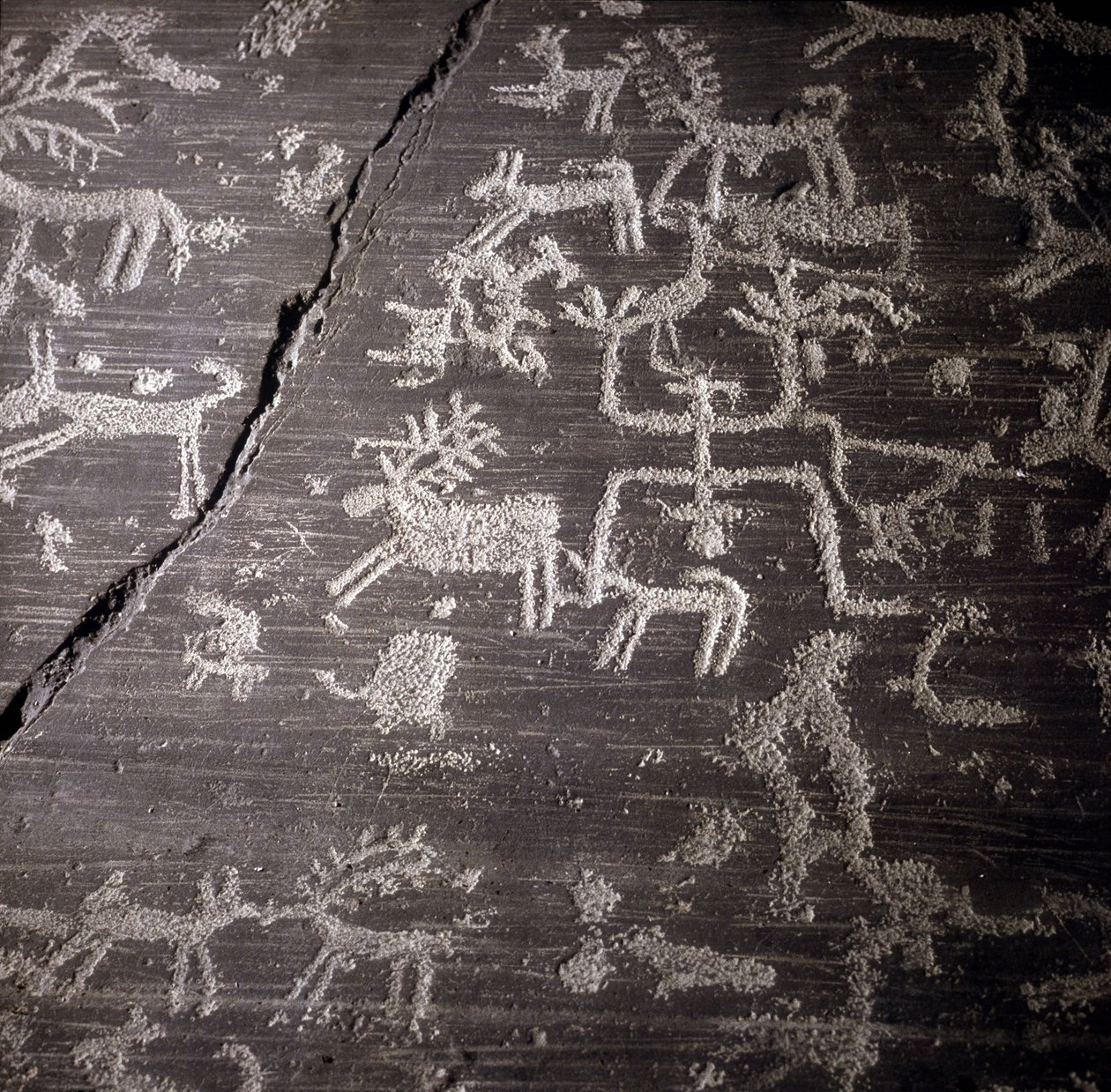 Civiltà dei Camunni, Preistoria, arte rupestre: roccia tombale, dettagli della grande roccia di Naquane, in Valcamonica. Museo archeologico di Milano da Prehistoric Prehistoric